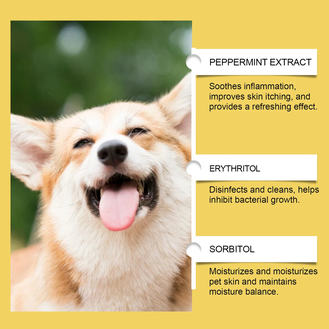 Herbal Anti-Inflammatory Pet Drops