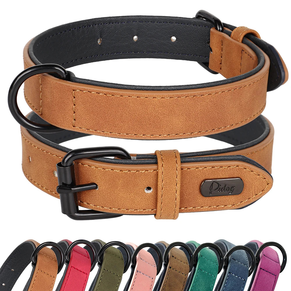 Padded Leather Collar Large Dogs