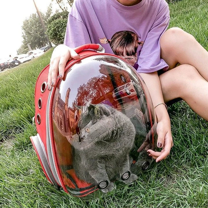 Transparent Space Capsule Pet Backpack