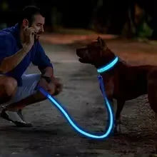LED Rechargeable Dog Collar