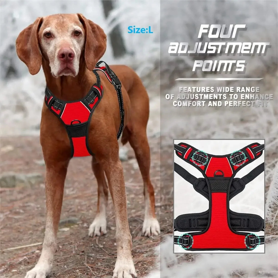 Leather Dog Harness Leash Set