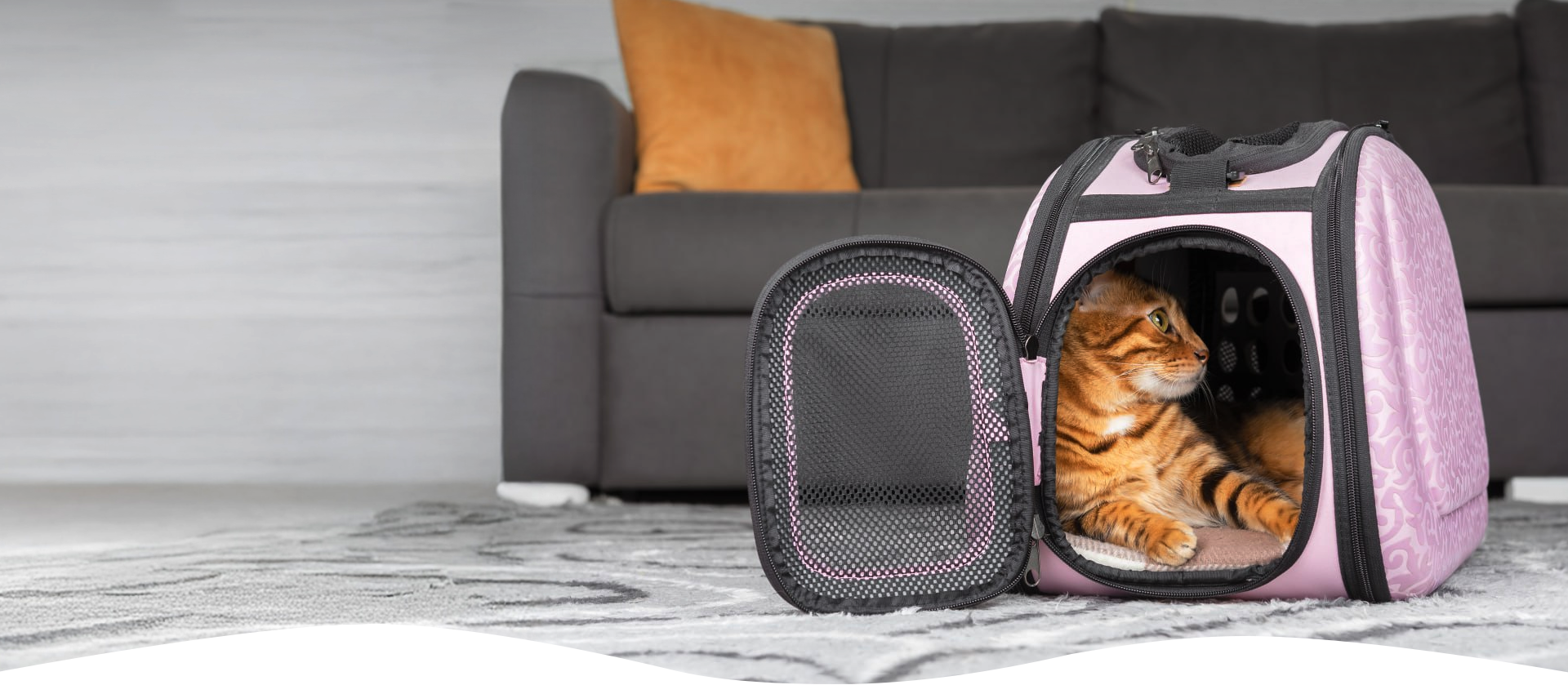 slider image slider_item_qdHUbQ