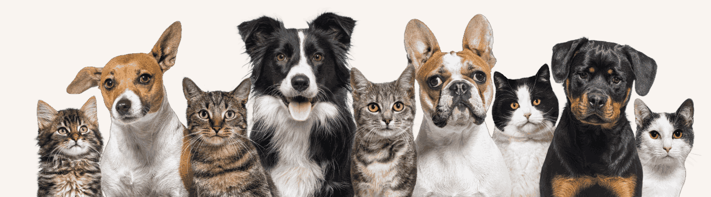 slider image slider_item_HX6yKP