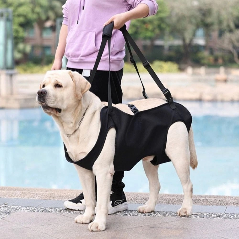 Dog Injury Travel Auxiliary Strap